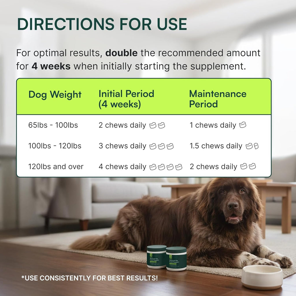 Hip & Joint Supplement and Daily Probiotic Bundle for Large Dogs