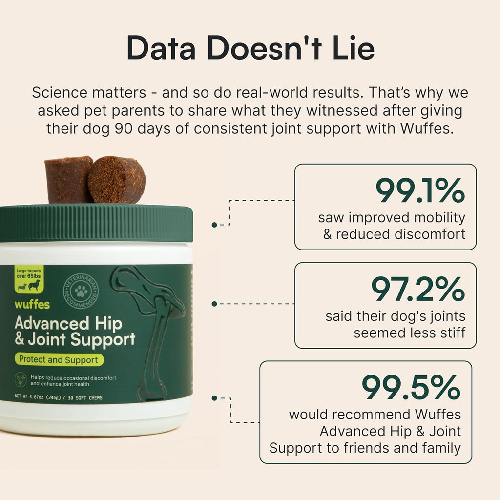 Hip & Joint Supplement and Daily Probiotic Bundle for Large Dogs