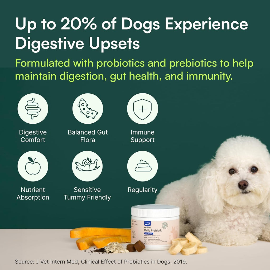 Hip & Joint Supplement and Daily Probiotic Bundle for Large Dogs