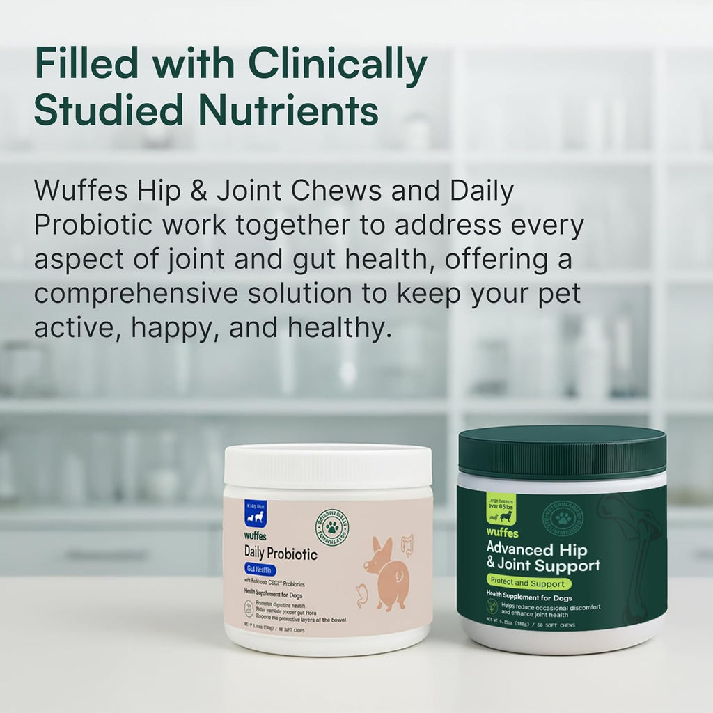 Hip & Joint Supplement and Daily Probiotic Bundle for Large Dogs