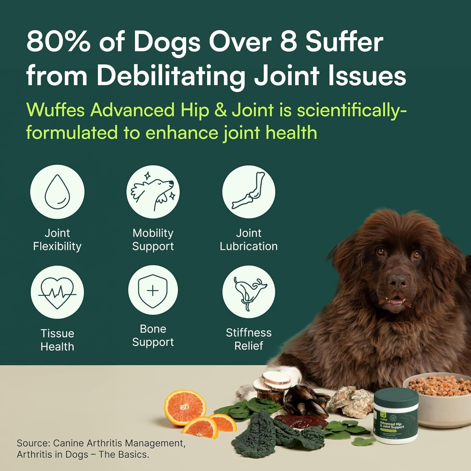 Hip & Joint Supplement and Daily Probiotic Bundle for Large Dogs